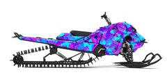 SKIDOO - HEXTER