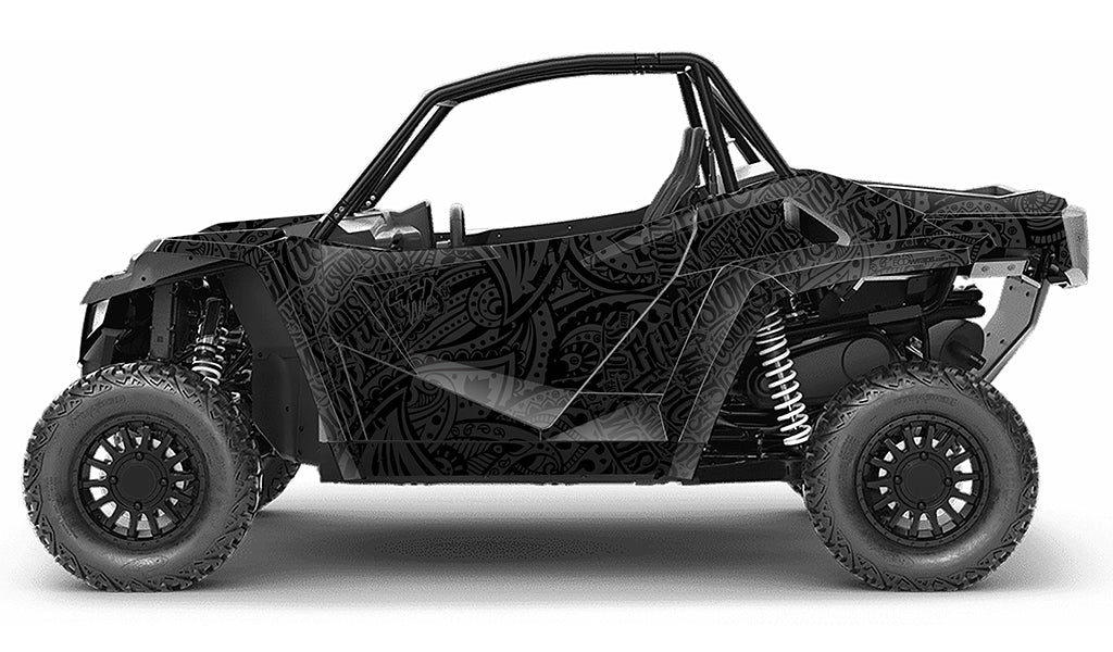 Wildcat xx - AMPED