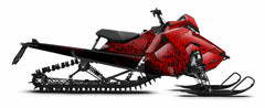 POLARIS - FISH