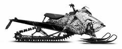 POLARIS - FISH