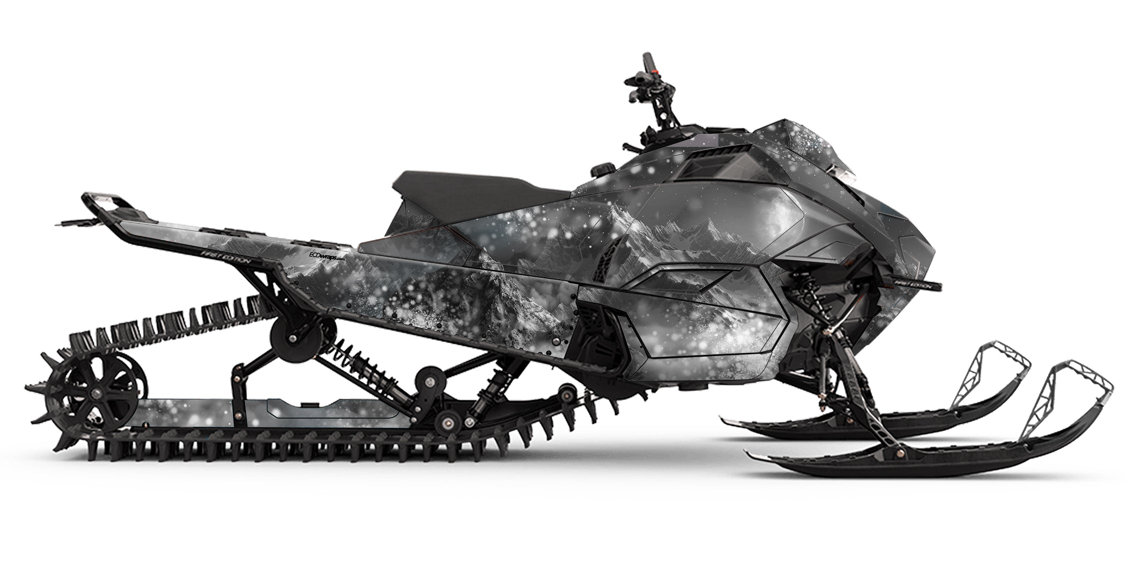 ARCTIC CAT - POLAR