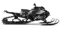 ARCTIC CAT - LASHED