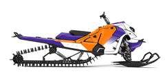 SKIDOO - VECTOR