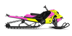SKIDOO - VECTOR